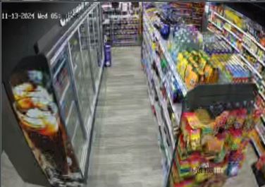 nisa-faveersham Cam 8